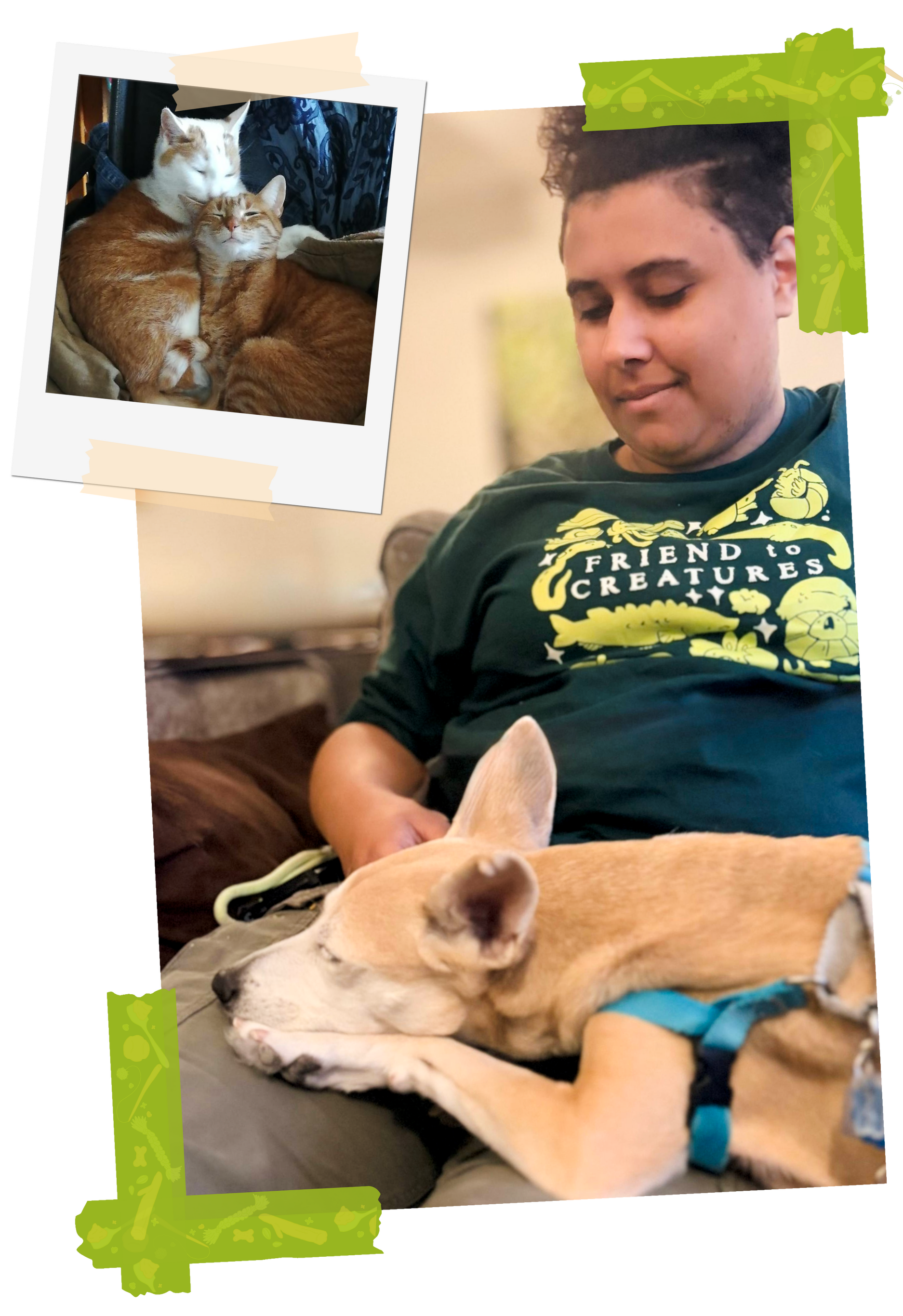 Scrapbook style photo collage of Jessamyn with a tan dog on her lap, and a second photo with her two tabby cats